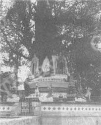 
座落在德宏傣族景颇族自治州首府芒市的树包塔。
新华摄
