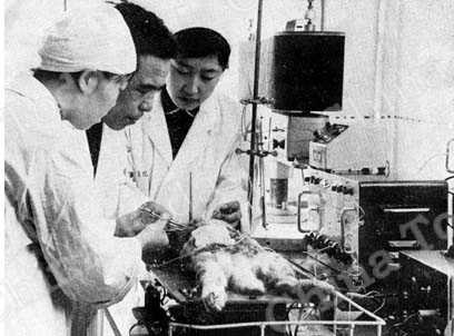 
Tierversuche mit chinesischen Arzneimitteln
